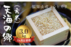 【令和6年産】【3ヵ月定期便】京都福知山産コシヒカリ『天海の郷』3kg（玄米）天空に広がる天海の郷 / ふるさと納税 こめ コメ 米 コシヒカリ こしひかり 玄米 定期 3カ月 おいしい 美味しい 美容 健康 天空 雲海 天海の郷 京都府 福知山市 FCCM033