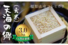 【令和6年産】【6ヵ月定期便】京都福知山産コシヒカリ『天海の郷』3kg（玄米）天空に広がる天海の郷 / ふるさと納税 こめ コメ 米 コシヒカリ こしひかり 玄米 定期 6カ月 おいしい 美味しい 美容 健康 天空 雲海 天海の郷 京都府 福知山市 FCCM034