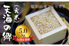 【令和6年産】【3ヵ月定期便】京都福知山産コシヒカリ『天海の郷』5kg（玄米）天空に広がる天海の郷 / ふるさと納税 こめ コメ 米 コシヒカリ こしひかり 玄米 定期 3カ月 おいしい 美味しい 美容 健康 天空 雲海 天海の郷 京都府 福知山市 FCCM036