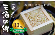 【令和6年産】【6ヵ月定期便】京都福知山産コシヒカリ『天海の郷』10kg（玄米）天空に広がる天海の郷 / ふるさと納税 こめ コメ 米 コシヒカリ こしひかり 玄米 定期 6カ月 おいしい 美味しい 美容 健康 天空 雲海 天海の郷 京都府 福知山市 FCCM040