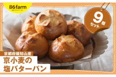 京小麦の塩バターパン 9個セット / パン ぱん 塩バターパン 京小麦 卵 福知山産 塩 釜炊き 食事 おやつ 9個セット 京都府 福知山市 FCAM011