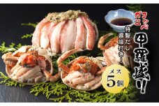 ★期間限定★【2025年2月末まで！】コッペガ二 甲羅盛り 特製だし醤油付き メス5つ   ふるさと納税 かに カニ 蟹 こっぺがに せこがに 甲羅盛り 記念日 お祝い ギフト 京都府 福知山市 FCAW056