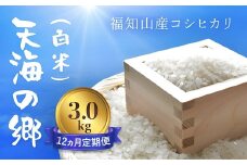 【12ヵ月定期便】【令和6年産】京都福知山産コシヒカリ『天海の郷』3kg（白米）天空に広がる天海の郷　　ふるさと納税  こめ コメ 米 コシヒカリ こしひかり 定期便 おいしい 美味しい 白米 精米 天空 雲海 天海の郷 京都府 福知山市 FCCM026