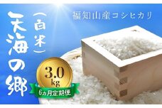 【6ヵ月定期便】【令和6年産】京都福知山産コシヒカリ『天海の郷』3kg（白米）天空に広がる天海の郷　ふるさと納税  こめ コメ 米 コシヒカリ こしひかり 定期便 おいしい 美味しい 白米 精米 天空 雲海 天海の郷 京都府 福知山市 FCCM025