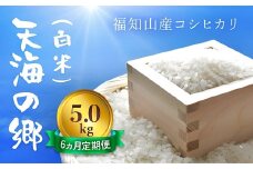 【6ヵ月定期便】【令和6年産】京都福知山産コシヒカリ『天海の郷』5kg（白米）天空に広がる天海の郷　　 ふるさと納税  こめ コメ 米 コシヒカリ こしひかり 定期便 おいしい 美味しい 白米 精米 天空 雲海 天海の郷 京都府 福知山市 FCCM028