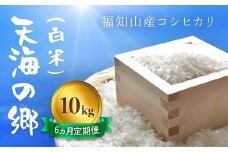 【6ヵ月定期便】【令和6年産】京都福知山産コシヒカリ『天海の郷』10kg（白米）天空に広がる天海の郷　 ふるさと納税  こめ コメ 米 コシヒカリ こしひかり 定期便 おいしい 美味しい 白米 精米 天空 雲海 天海の郷 京都府 福知山市 FCCM031