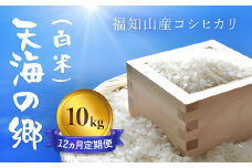 【12ヵ月定期便】【令和6年産】京都福知山産コシヒカリ『天海の郷』10kg（白米）天空に広がる天海の郷　ふるさと納税  こめ コメ 米 コシヒカリ こしひかり 定期便 おいしい 美味しい 白米 精米 天空 雲海 天海の郷 京都府 福知山市 FCCM032