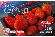 京都府福知山産「京いちご ながれぼし」250～300ｇ（15粒） ふるさと納税 いちご イチゴ 苺 京都 京いちご ながれぼし 流れ星 ギフト プレゼント 福知山市 京都府 FCEQ001