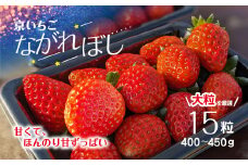 京都府福知山産「京いちご　ながれぼし」400～450g（15粒） ふるさと納税 いちご イチゴ 苺 京都 京いちご ながれぼし 流れ星 ギフト プレゼント 福知山市 京都府 FCEQ003