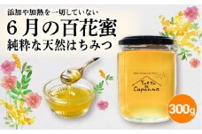6月の百花蜜 300g ハチミツ 蜂蜜 はちみつ ハニー honey 純粋はちみつ 国産 非加熱 無添加 百花蜜 甘い  京都府 福知山市 FCEI004