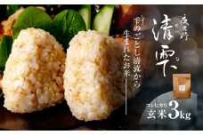 ＜令和7年9月末より発送予定！＞京都夜久野産　清雫（せいな）コシヒカリ〔玄米〕3kg /  令和7年度産 先行 3kg 収穫 玄米 夜久野 京都 京都府 福知山 FCDB013