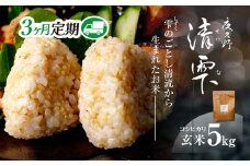 ＜令和7年9月末より発送予定！＞【３ヶ月定期便】京都夜久野産　清雫（せいな）　コシヒカリ＜玄米5kg×3回＞/  令和7年度産 先行 定期 5kg 収穫 3回 玄米  夜久野 京都 京都府 福知山 FCDB018