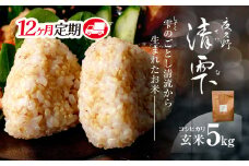 ＜令和7年9月末より発送予定！＞【12ヶ月定期便】京都夜久野産　清雫（せいな）　コシヒカリ＜玄米5kg×12回＞/  令和7年度産 先行 定期 5kg 収穫 12回 玄米  夜久野 京都 京都府 福知山 FCDB020