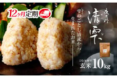 ＜令和7年9月末より発送予定！＞【12ヶ月定期便】京都夜久野産　清雫（せいな）　コシヒカリ＜玄米10kg×12回＞/  令和7年度産 先行 定期 10kg 5kg×2袋 収穫 12回 玄米 夜久野 京都 京都府 福知山 FCDB024