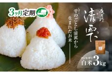 ＜令和7年9月末より発送予定！＞【３ヶ月定期便】京都夜久野産　清雫（せいな）　コシヒカリ＜白米3kg×3回＞/  令和7年度産 先行 定期 3kg 収穫 3回 白米 夜久野 京都 京都府 福知山 FCDB026