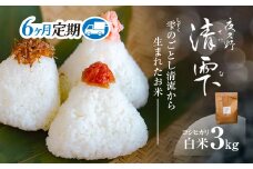 ＜令和7年9月末より発送予定！＞【６ヶ月定期便】京都夜久野産　清雫（せいな）　コシヒカリ＜白米3kg×6回＞/  令和7年度産 先行 定期 3kg 収穫 6回 白米 夜久野 京都 京都府 福知山 FCDB027