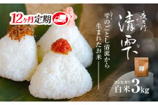 ＜令和7年9月末より発送予定！＞【12ヶ月定期便】京都夜久野産　清雫（せいな）　コシヒカリ＜白米3kg×12回＞/  令和7年度産 先行 定期 3kg 収穫 12回 白米 夜久野 京都 京都府 福知山 FCDB028