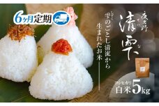 ＜令和7年9月末より発送予定！＞【６ヶ月定期便】京都夜久野産　清雫（せいな）　コシヒカリ＜白米5kg×6回＞/  令和7年度産 先行 定期 5kg 収穫 6回 白米 夜久野 京都 京都府 福知山 FCDB031