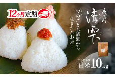 ＜令和7年9月末より発送予定！＞【12ヶ月定期便】京都夜久野産　清雫（せいな）　コシヒカリ＜白米10kg×12回＞/  令和7年度産 先行 定期 10kg 5kg×2袋 収穫 12回 白米 夜久野 京都 京都府 福知山 FCDB036