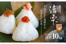 ＜令和7年9月末より発送予定！＞京都夜久野産　清雫（せいな）　コシヒカリ＜白米10kg＞/  令和7年度産 先行 10kg 5kg×2袋 収穫 白米 夜久野 京都 京都府 福知山 FCDB033