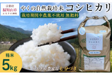 【先行予約・2025年10月より発送開始！】やくの自然栽培米　コシヒカリ　5kg　 令和7年産 こめ コメ 米 白米 精米 コシヒカリ こしひかり お米 ごはん やくの 夜久野 京都府 福知山市 FCEV001