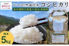 【先行予約・2025年10月より発送開始！】やくの自然栽培米　コシヒカリ　5kg　 令和7年産 こめ コメ 米 白米 精米 コシヒカリ こしひかり お米 ごはん やくの 夜久野 京都府 福知山市 FCEV001