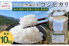 【先行予約・2025年10月より発送開始！】やくの自然栽培米　コシヒカリ 10kg　 令和7年産 こめ コメ 米 白米 精米 コシヒカリ こしひかり お米 ごはん やくの 夜久野 京都府 福知山市 FCEV002