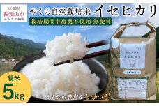 【先行予約・2025年11月より発送開始！】やくの自然栽培米　イセヒカリ 5kg　 令和7年産 こめ コメ 米 白米 精米 イセヒカリ いせひかり お米 ごはん やくの 夜久野 京都府 福知山市 FCEV003