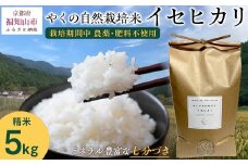 【先行予約・2025年11月より発送開始！】やくの自然栽培米　イセヒカリ 5kg　 令和7年産 こめ コメ 米 白米 精米 イセヒカリ いせひかり お米 ごはん やくの 夜久野 京都府 福知山市 FCEV003