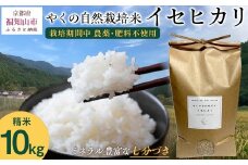 【先行予約・2025年11月より発送開始！】やくの自然栽培米　イセヒカリ 10kg　 令和7年産 こめ コメ 米 白米 精米 イセヒカリ いせひかり お米 ごはん やくの 夜久野 京都府 福知山市 FCEV004