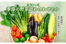 福知山産　季節の野菜詰め合わせセット /  ふるさと納税 やさい 野菜 季節 お野菜 旬 詰合せ セット 京都 京都府 福知山市 FCES004