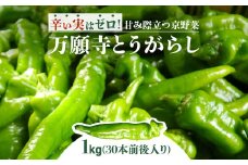 【2025年6月より順次発送】万願寺とうがらし １kg（30本前後入り）2525農園 FCEU001 / ふるさと納税 万願寺 やさい 野菜 京野菜 甘とうがらし 甘み 旨味 肉厚 農家直送  角田忠司 ２５２５ ニコニコ農園 福知山市 京都府