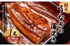 「国産うなぎの蒲焼き」1尾 【凍らさず美味しさそのまま！〆たて・焼きたてを冷”蔵”で発送】地元飲食店に愛される、美味さにこだわった「国産うなぎの蒲焼き」 特上 うなぎ 蒲焼 ウナギ 鰻蒲焼き うなぎ蒲焼き 1尾 人気 国産 浜名湖 うなぎ 関西 鰻蒲焼 養殖 冷蔵 ギフト ご褒美 人気 京都　京都府 福知山市 FCF007
