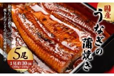 「国産うなぎの蒲焼き」5尾セット【凍らさず美味しさそのまま！〆たて・焼きたてを冷”蔵”で発送】地元飲食店に愛される、美味さにこだわった「国産うなぎの蒲焼き」 特上 うなぎ 蒲焼 ウナギ 鰻蒲焼き うなぎ蒲焼き 5尾 人気 国産 浜名湖 うなぎ 関西 鰻蒲焼 養殖 冷蔵 ギフト ご褒美 人気 京都　京都府 福知山市 FCF011