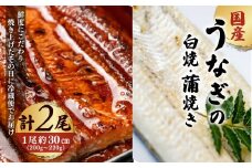 「国産うなぎの蒲焼き」×「国産うなぎの白焼き」 計2尾セット【凍らさず美味しさそのまま！〆たて・焼きたてを冷”蔵”で発送】地元飲食店に愛される、美味さにこだわった「国産うなぎの蒲焼き」×「国産うなぎの白焼き」計2尾セット 特上 うなぎ 蒲焼 ウナギ 鰻蒲焼き うなぎ蒲焼き 白焼き 2尾 人気 国産 浜名湖 うなぎ 関西 鰻蒲焼 養殖 冷蔵 ギフト ご褒美 人気 京都　京都府 福知山市 FCF017