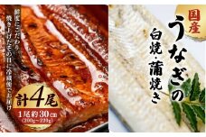 「国産うなぎの蒲焼き」×「国産うなぎの白焼き」 計4尾セット（各2尾）【凍らさず美味しさそのまま！〆たて・焼きたてを冷”蔵”で発送】地元飲食店に愛される、美味さにこだわった「国産うなぎの蒲焼き」×「国産うなぎの白焼き」 計4尾セット 特上 うなぎ 蒲焼 ウナギ 鰻蒲焼き うなぎ蒲焼き 白焼き 4尾 国産 浜名湖 関西 鰻蒲焼 養殖 冷蔵 ギフト ご褒美 人気 京都　京都府 福知山市 FCF018