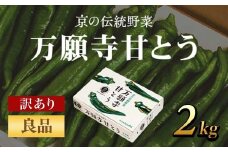 京のブランド産品　万願寺甘とう 良品 2kg [長さ・形不揃い]【2025年発送分】 ふるさと納税 京野菜 旬の野菜 万願寺 甘とう とうがらし 訳あり 不揃い 肉厚 甘い 京都府 福知山市 FCCS007