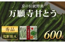 京のブランド産品　万願寺甘とう　　秀品 600g 【2025年発送分】 ふるさと納税 京野菜 旬の野菜 万願寺 甘とう とうがらし 大型 肉厚 甘い 京都府 福知山市 FCCS005