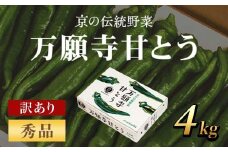 京のブランド産品　万願寺甘とう　秀品 4kg [長さ不揃い]【2025年発送分】 ふるさと納税 京野菜 旬の野菜 万願寺 甘とう とうがらし 訳あり 不揃い 大容量 大型 肉厚 甘い 京都府 福知山市 FCCS006