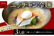 ユッチャン冷麺　3人前 FCEO001