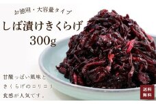 お徳用　しば漬け　きくらげ　300g 【 ふるさと納税 しば漬け きくらげ お徳用 ご飯 ごはん お漬物  ご飯のお供 漬け物 お土産 お取り寄せ グルメ 人気 おすすめ 京都府 福知山市 】FCAD003