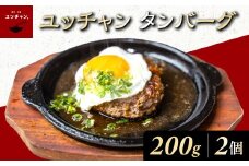 ユッチャン　タンバーグ（200g）2個 FCEO006