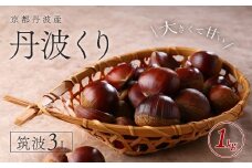 【2025年10月初旬より順次発送！】京都丹波産　丹波くり　筑波3L　1kg 【ふるさと納税 栗 くり 丹波栗 丹波くり 甘味 おやつ 栗ご飯 お菓子作り 3L L Lサイズ 大粒 期間限定 京都府 福知山市】FCFB001