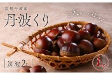 【2025年10月初旬より順次発送！】京都丹波産　丹波くり　筑波2L　1kg 【ふるさと納税 栗 くり 丹波栗 丹波くり 甘味 おやつ 栗ご飯 お菓子作り 2L L Lサイズ 大粒 期間限定 京都府 福知山市】FCFB002
