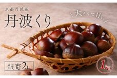 【2025年10月初旬より順次発送！】京都丹波産　丹波くり　銀寄2L　1kg 【ふるさと納税 栗 くり 丹波栗 丹波くり 甘味 おやつ 栗ご飯 お菓子作り 2L L Lサイズ 大粒 期間限定 京都府 福知山市】FCFB003