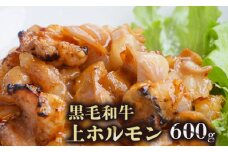 黒毛和牛 ホルモン 600g 12,000円