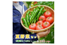 夏野菜セット 辛くない 万願寺とうがらし1kg トマト2kg 化粧箱入 合計3kg 夏野菜 野菜 セット 万願寺とうがらし とまと トマト 万願寺 新鮮 産地直送 農家直送 箱入り 京都 舞鶴 嵯峨根農園