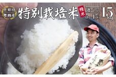 【令和7年度産 新米 先行予約】 棚田米 15kg 精米 特別栽培米 7割削減 精米 京都 舞鶴 農家直送 コシヒカリ こしひかり 減農薬 低農薬 白米 お米 ご飯 米 棚田