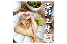 海鮮三昧 干物 ５種 詰め合わせ セット ひもの 詰め合わせ 盛り合わせ たくさん 冷凍 お取り寄せ グルメ 日本海 旬 魚 海鮮 魚介 加工品 海産物 アジ イワシ ニギス アジ一夜干 連子鯛