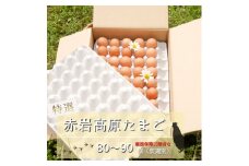 赤岩高原たまご 80～90個入（特選/無選別Ｍ～Ｌ） 4.8kg以上 卵 大人数用 たまご 大入り 